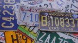 cool guy's＊光沢＊ナンバープレートステッカー18種　オリジナル