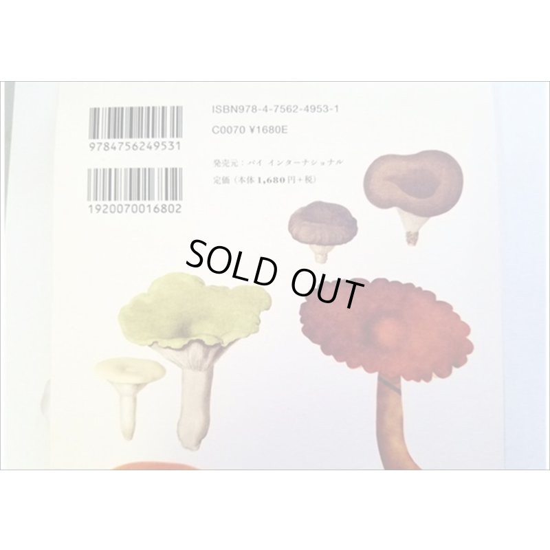 画像3: 便せんになったよ★いろんなキノコ★　100枚レターブック　