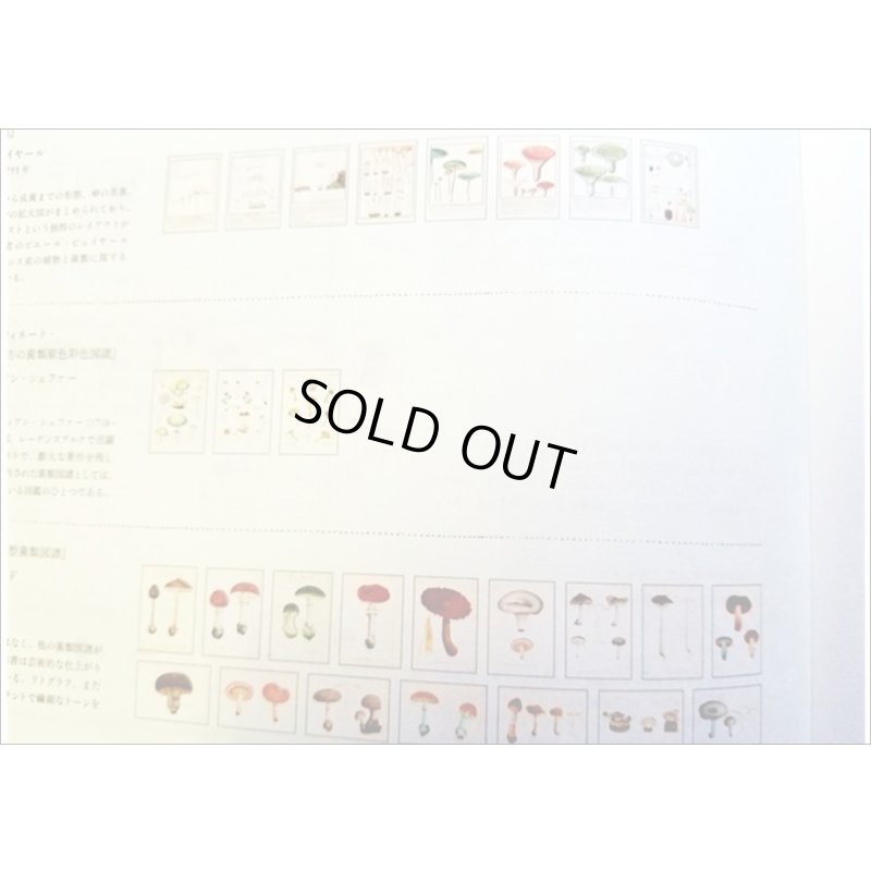 画像5: 便せんになったよ★いろんなキノコ★　100枚レターブック　