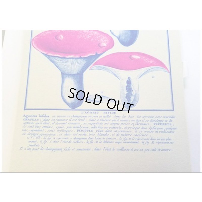 画像11: 便せんになったよ★いろんなキノコ★　100枚レターブック　