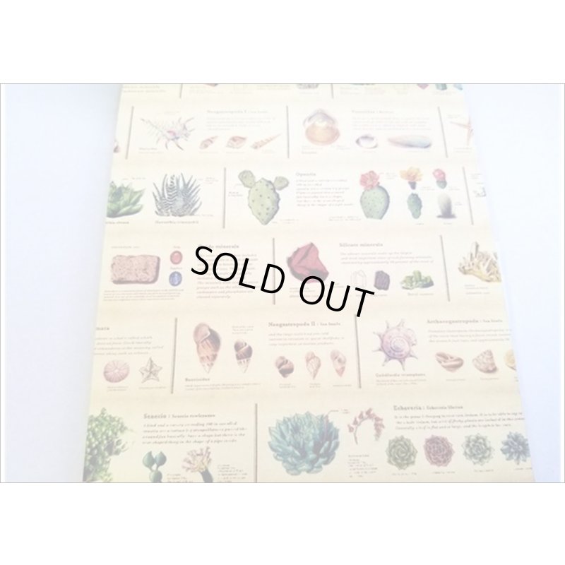 画像10: ｍｔマステが便せんになったよ★ｍｔ１００★　【１】　100枚レターブック　