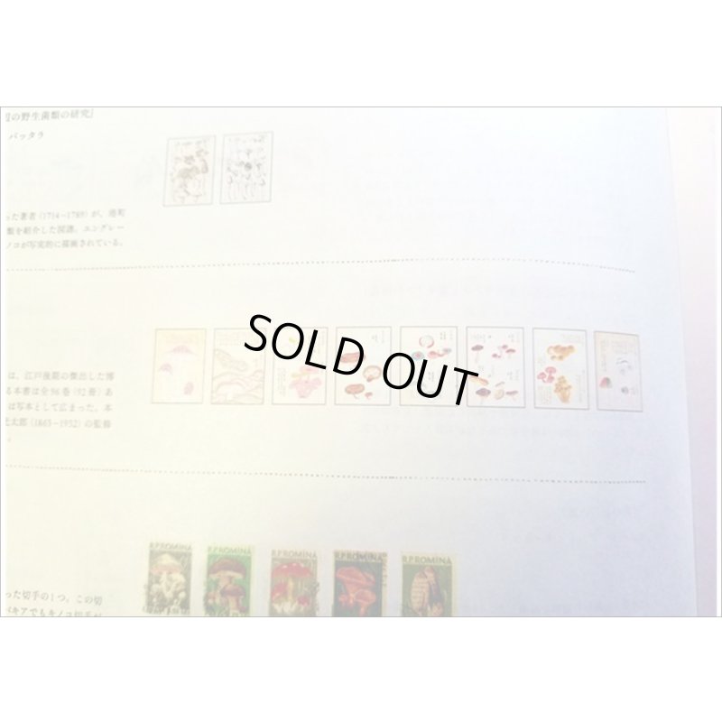 画像7: 便せんになったよ★いろんなキノコ★　100枚レターブック　