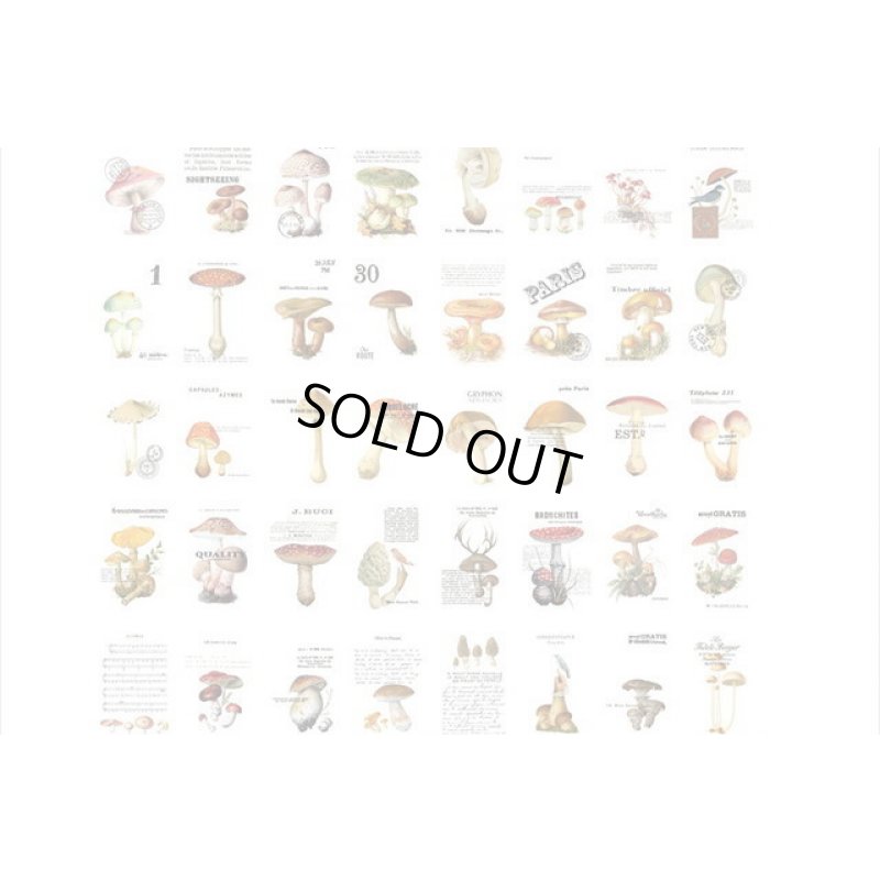 画像5: ちび＊トレペ＊ペーパーセット＊100枚＊きのこ＊海外製