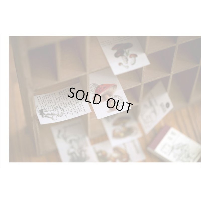 画像7: ちび＊トレペ＊ペーパーセット＊100枚＊きのこ＊海外製