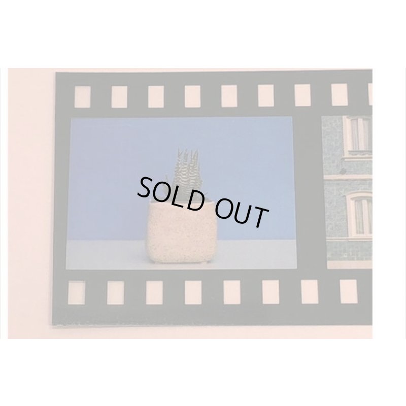 画像3: 本物みたい♪ネガフィルム＊シール＊青の風景💓＊海外製