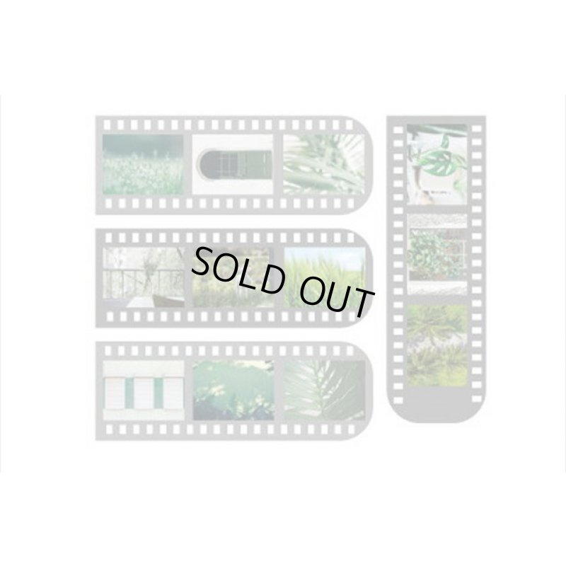 画像7: 本物みたい♪ネガフィルム＊シール＊田舎の風景💓＊海外製