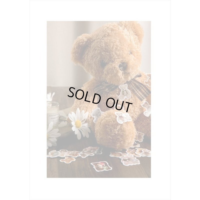 画像8: 可愛い子ぐま＊テディベア＊フレークシール＊46枚＊箱入り＊海外製