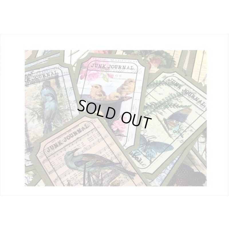 画像4: オシャレなチケットタグ💓＊植物と昆虫＊100枚＊海外製