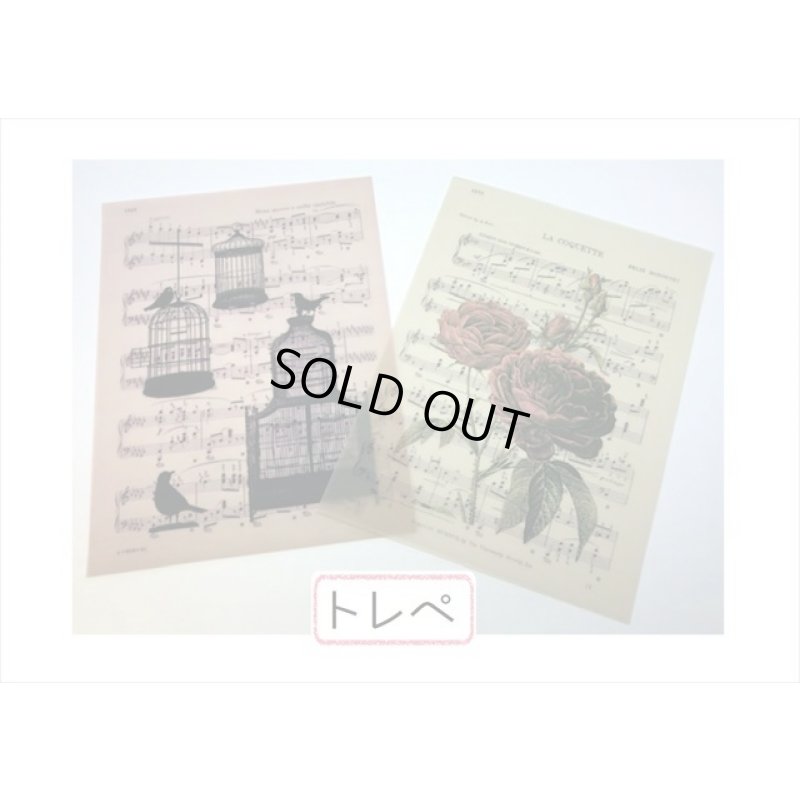 画像5: 豪華な2種のペーパーセット＊MUSIC＊20枚＊海外製