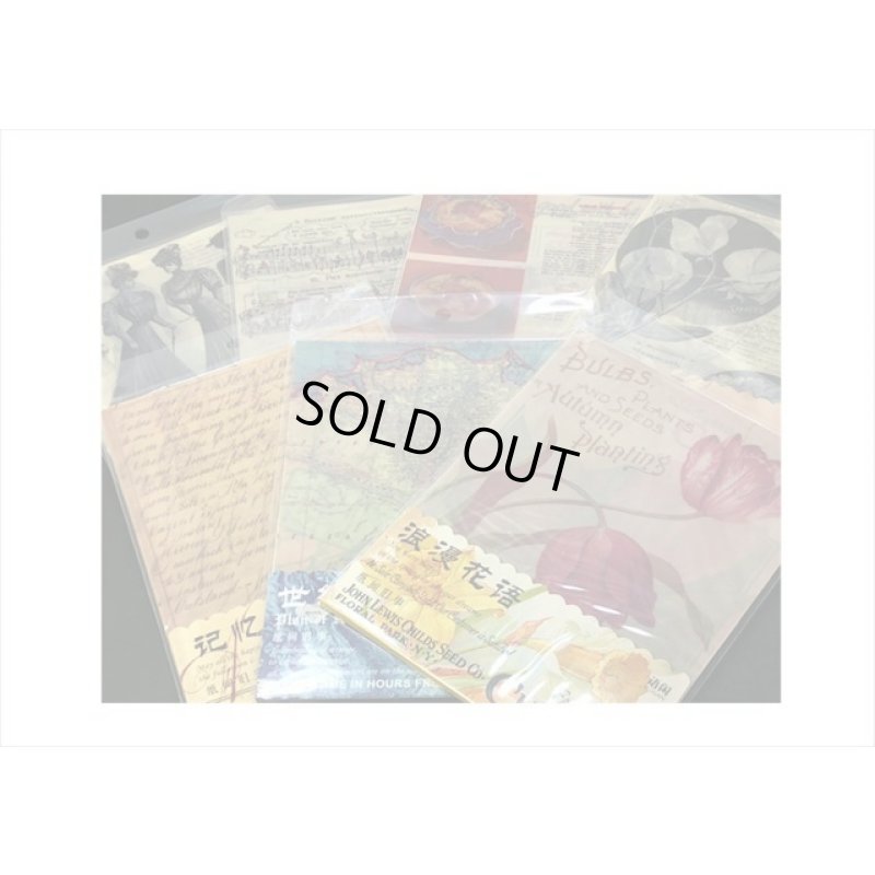 画像11: 豪華な2種のペーパーセット＊MUSIC＊20枚＊海外製