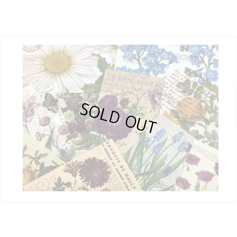 画像4: 持ち手付き♪植物＊トレペと布風＊ペーパーセット＊60枚＊海外製