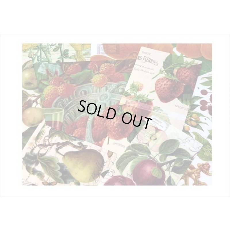 画像3: 持ち手付き♪植物＊トレペと布風＊ペーパーセット＊60枚＊海外製