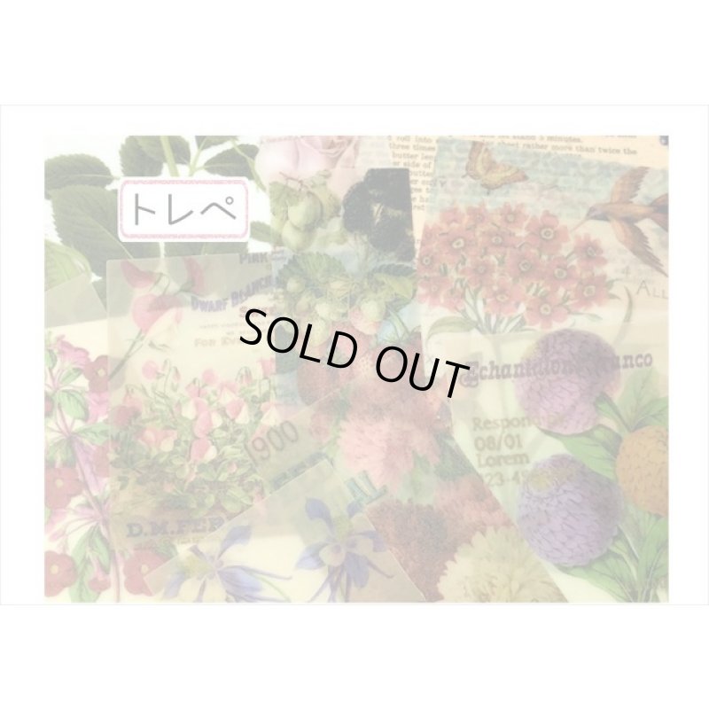 画像6: 持ち手付き♪植物＊トレペと布風＊ペーパーセット＊60枚＊海外製