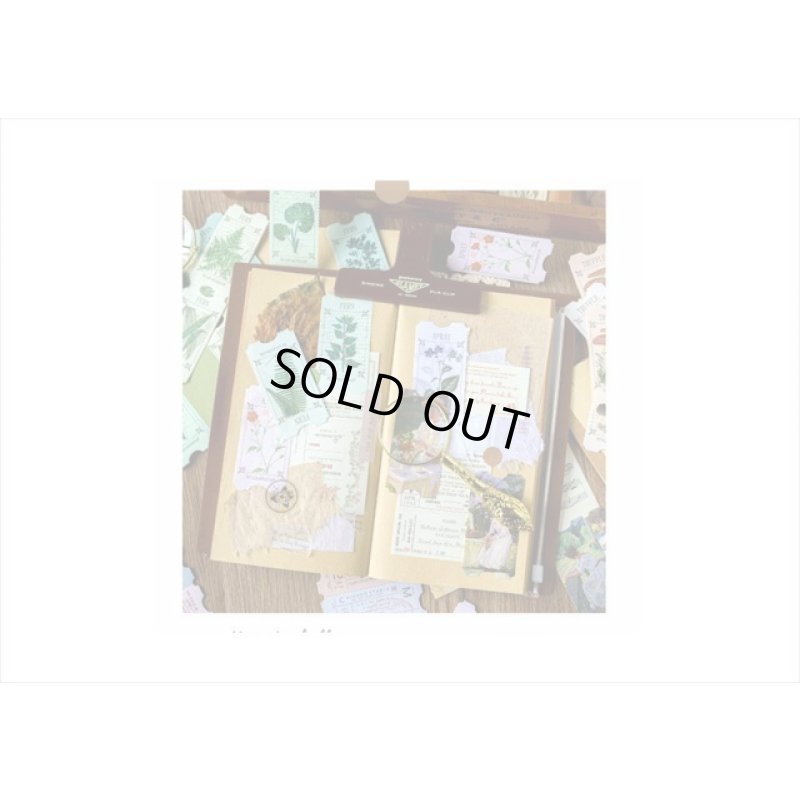 画像6: チケット型シート＊リーフ＊ミシン目入り＊100枚分（10シート）＊海外製