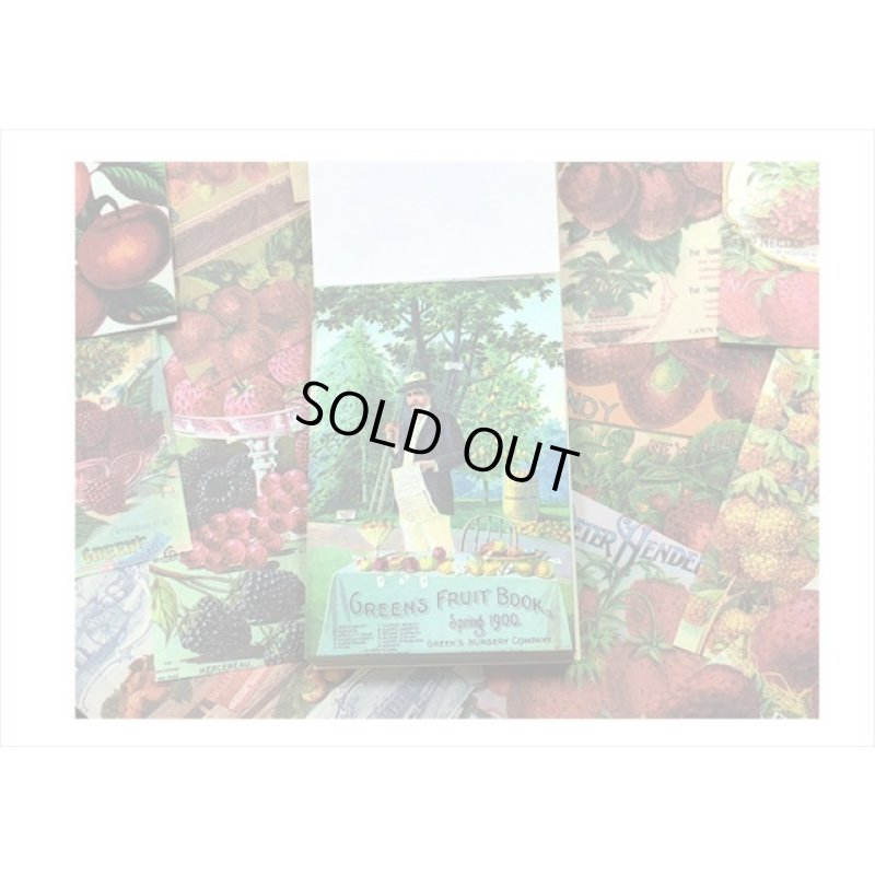 画像5: ミニペーパーセット＊苺だらけ＊柄違い100枚＊ 海外製