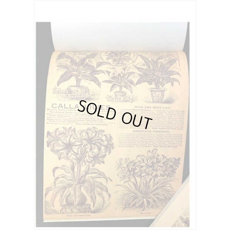 画像9: ざっくりメモ帳＊植物＊ペーパーセット＊60枚＊海外製