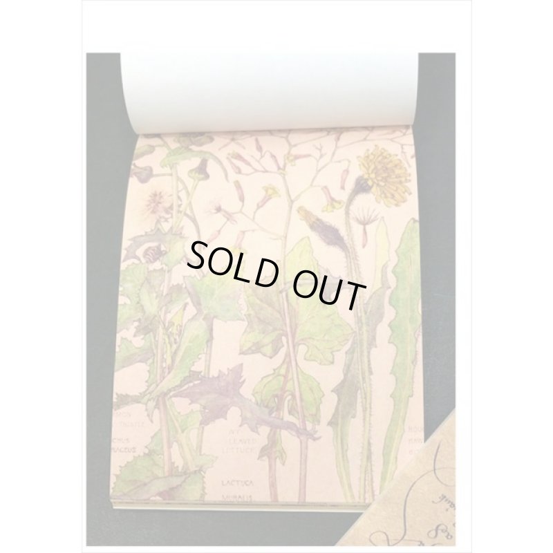 画像5: ざっくりメモ帳＊植物＊ペーパーセット＊60枚＊海外製