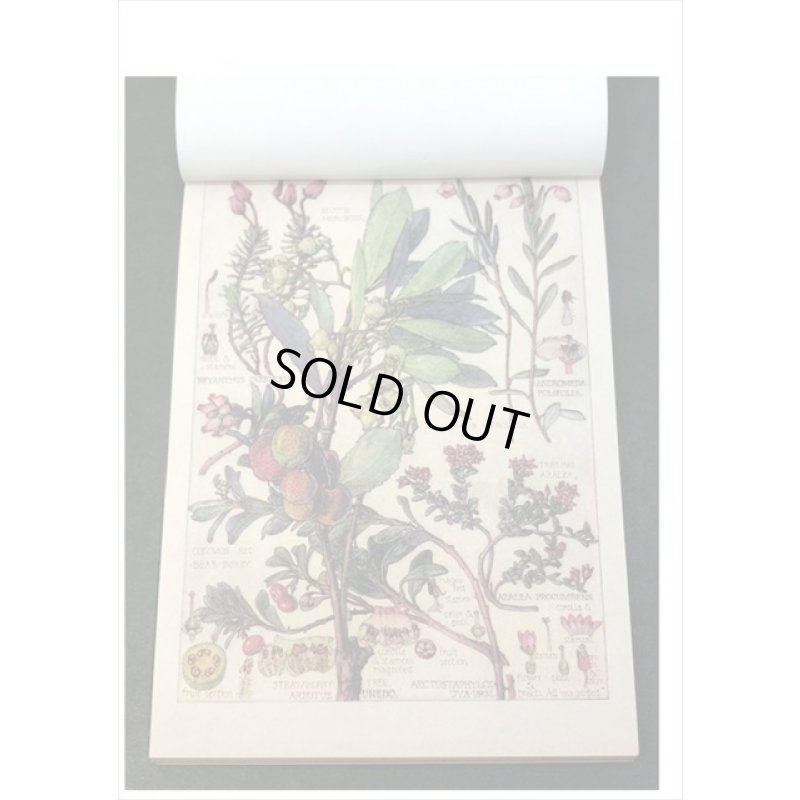 画像3: ざっくりメモ帳＊植物＊ペーパーセット＊60枚＊海外製