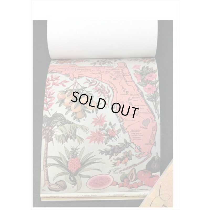 画像6: ざっくりメモ帳＊植物＊ペーパーセット＊60枚＊海外製