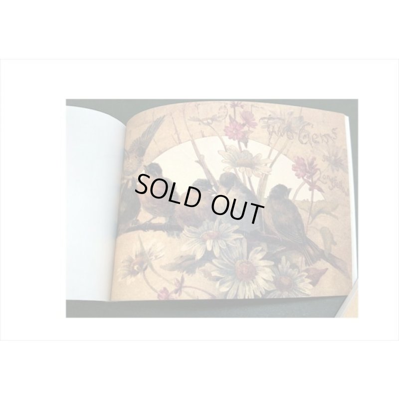 画像8: ざっくりメモ帳＊自然＊ペーパーセット＊60枚＊海外製