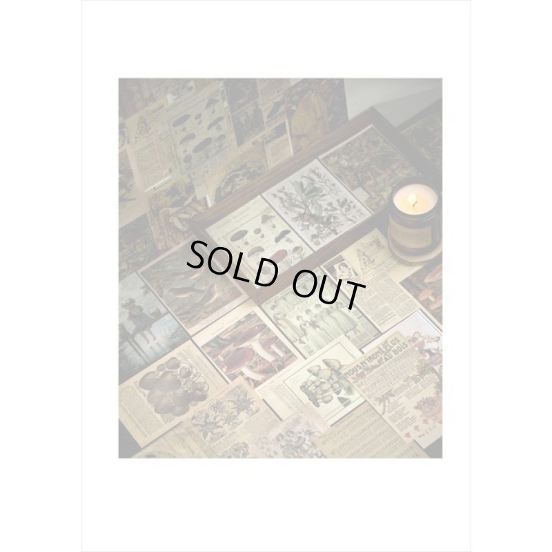 画像11: ざっくりメモ帳＊ファッション＊ペーパーセット＊60枚＊海外製