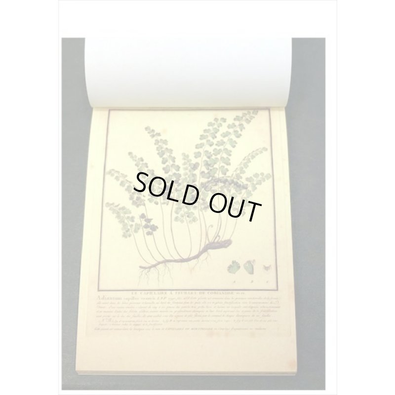 画像4: ざっくりメモ帳＊植物＊ペーパーセット＊60枚＊海外製