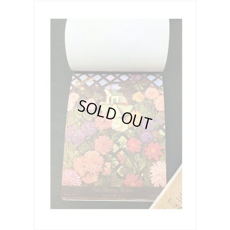 画像5: ざっくりメモ帳＊油絵＊ペーパーセット＊60枚＊海外製