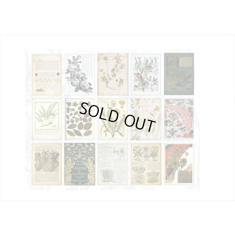 画像10: ざっくりメモ帳＊植物＊ペーパーセット＊60枚＊海外製