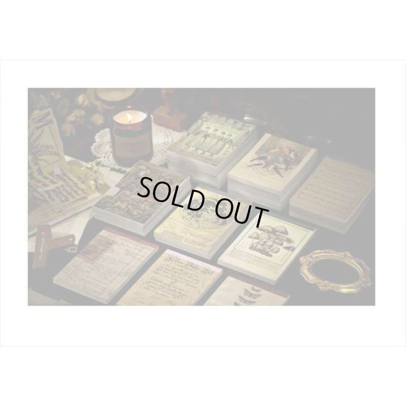 画像14: ざっくりメモ帳＊ファッション＊ペーパーセット＊60枚＊海外製