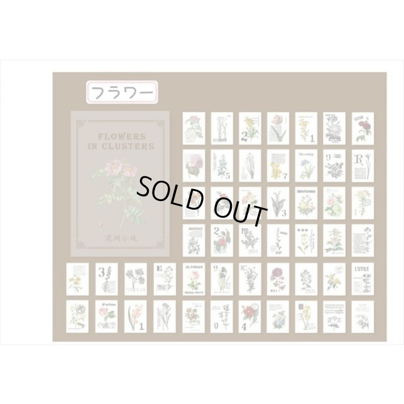 画像10: トレペブック＊フラワー＊ちびペーパーセット＊50枚＊海外製