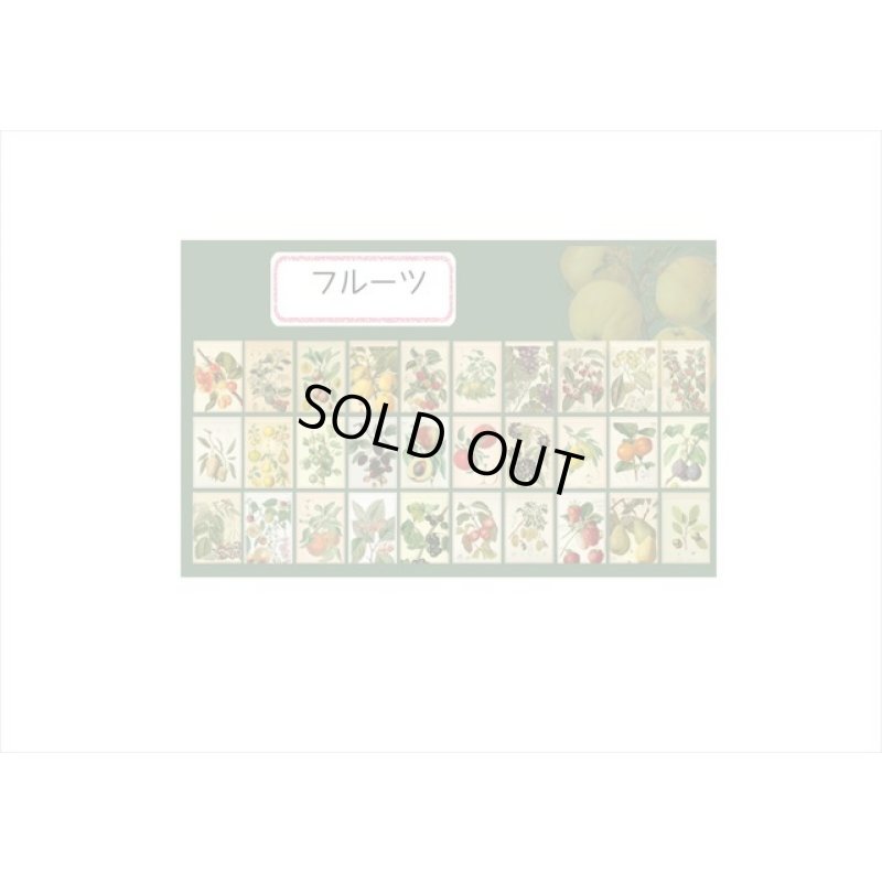 画像11: トレペシール帳＊フルーツ＊柄違い30枚＊はがきサイズ＊海外製