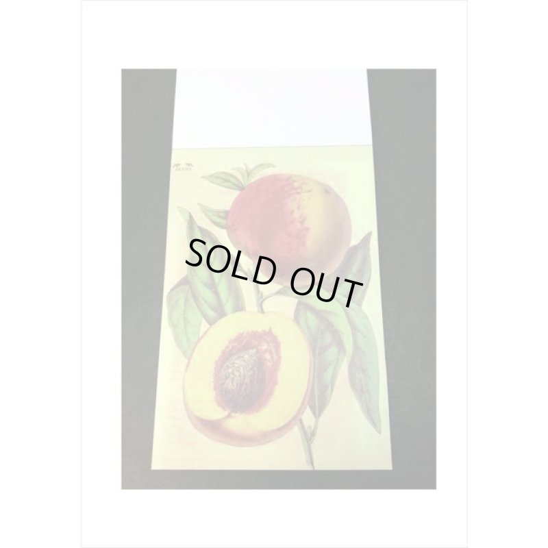 画像4: トレペシール帳＊フルーツ＊柄違い30枚＊はがきサイズ＊海外製