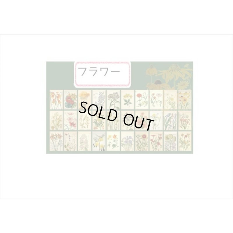 画像12: トレペシール帳＊フラワー＊柄違い30枚＊はがきサイズ＊海外製