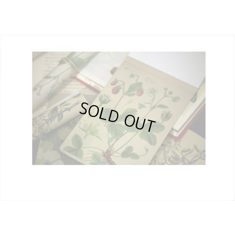 画像16: トレペシール帳＊フラワー＊柄違い30枚＊はがきサイズ＊海外製