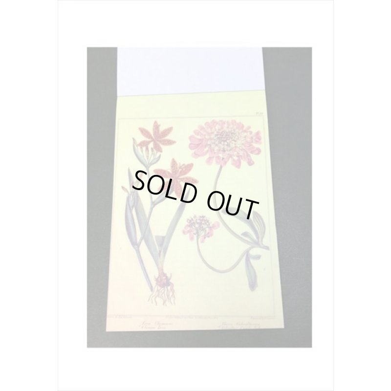 画像6: トレペシール帳＊フラワー＊柄違い30枚＊はがきサイズ＊海外製