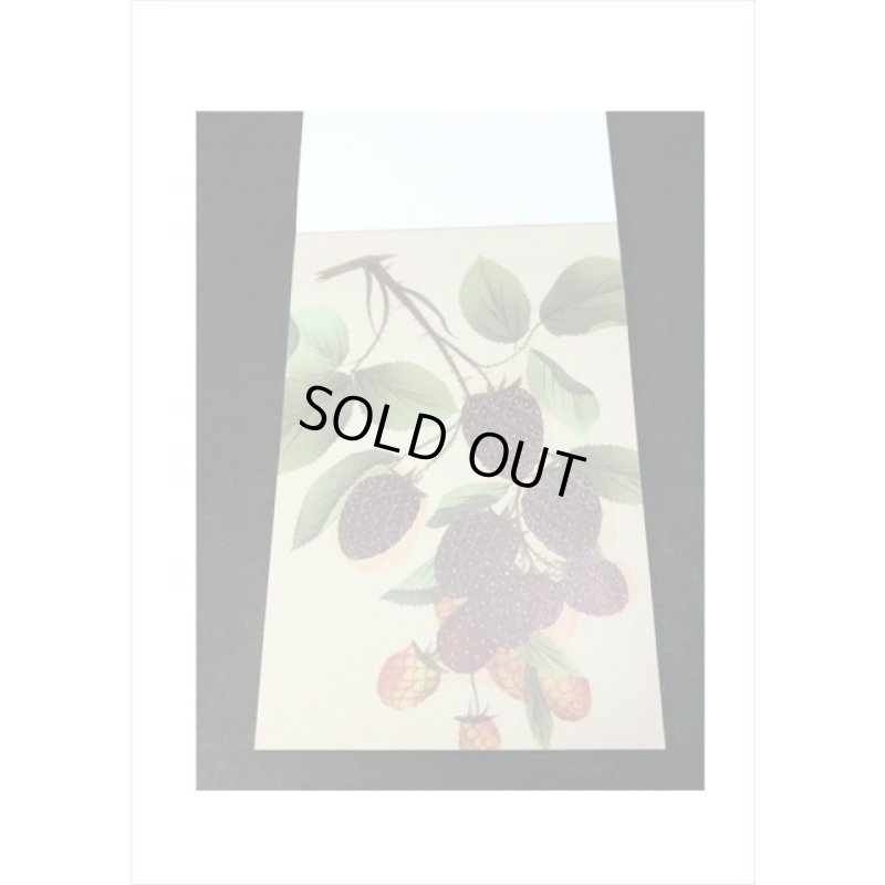 画像3: トレペシール帳＊フルーツ＊柄違い30枚＊はがきサイズ＊海外製