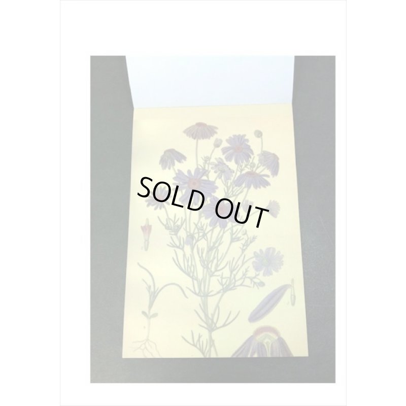 画像5: トレペシール帳＊フラワー＊柄違い30枚＊はがきサイズ＊海外製