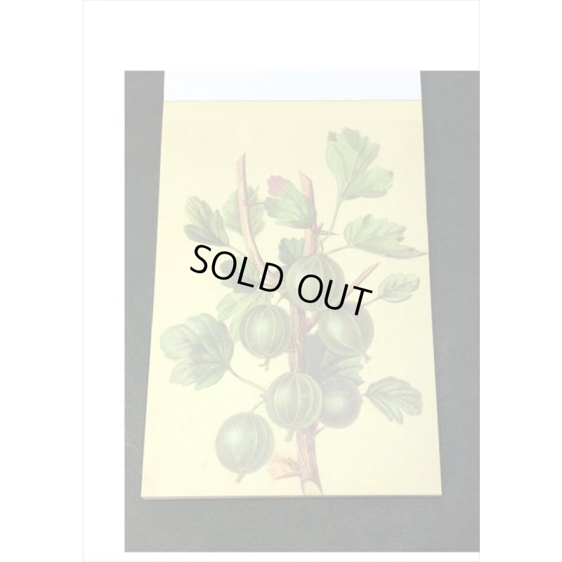 画像9: トレペシール帳＊フルーツ＊柄違い30枚＊はがきサイズ＊海外製