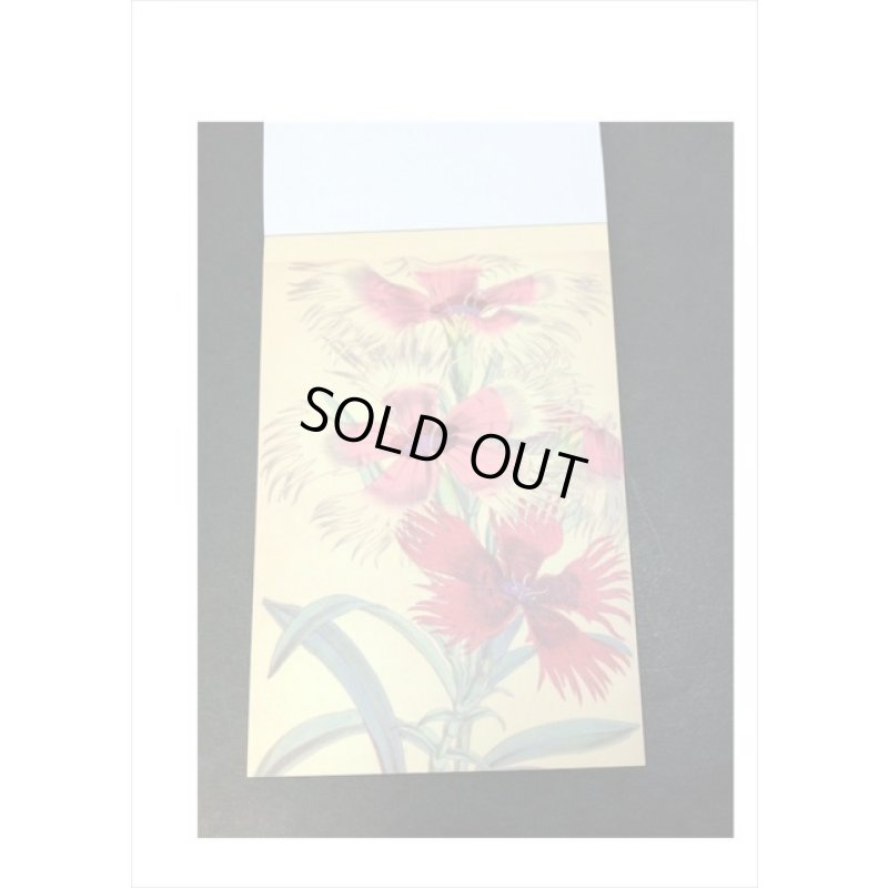 画像3: トレペシール帳＊フラワー＊柄違い30枚＊はがきサイズ＊海外製