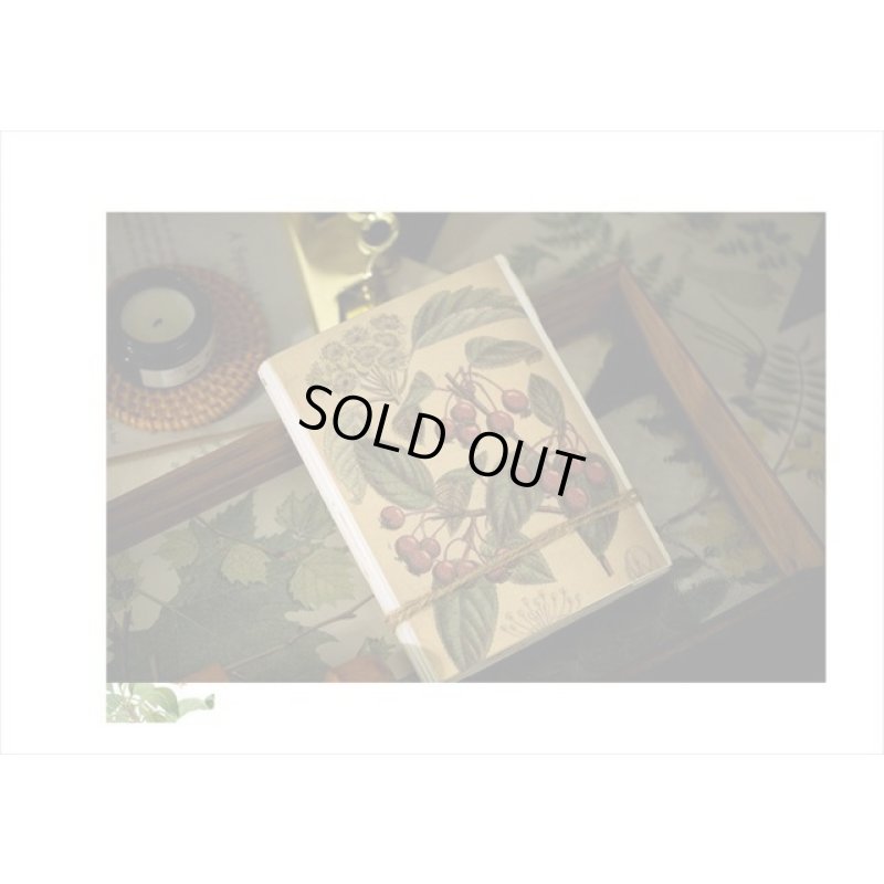 画像15: トレペシール帳＊フラワー＊柄違い30枚＊はがきサイズ＊海外製