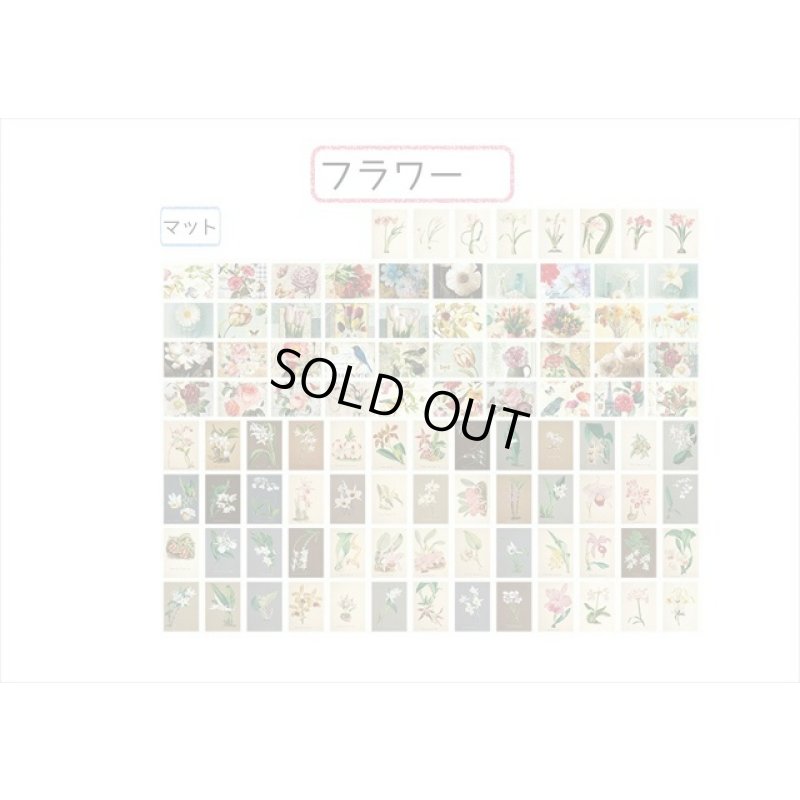 画像5: どっちを使う？フラワー＊2種の紙＊両面＊200柄（100枚）💓箱入り＊海外製　クリックポスト不可