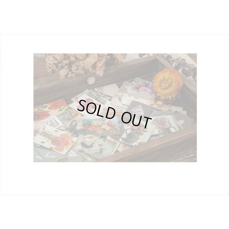 画像6: どっちを使う？フラワー＊2種の紙＊両面＊200柄（100枚）💓箱入り＊海外製　クリックポスト不可