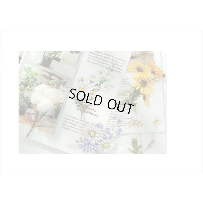 画像8: 大きい♪本物みたいな花🌸＊ひなぎく＊ボトル＊防水＊透明シール＊11枚＊海外製