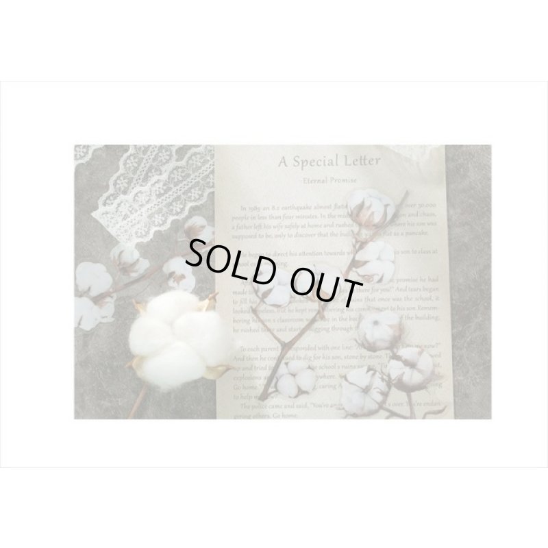 画像5: 大きい♪本物みたいな花🌸＊わたの花＊フレーム＊防水＊透明シール＊11枚＊海外製