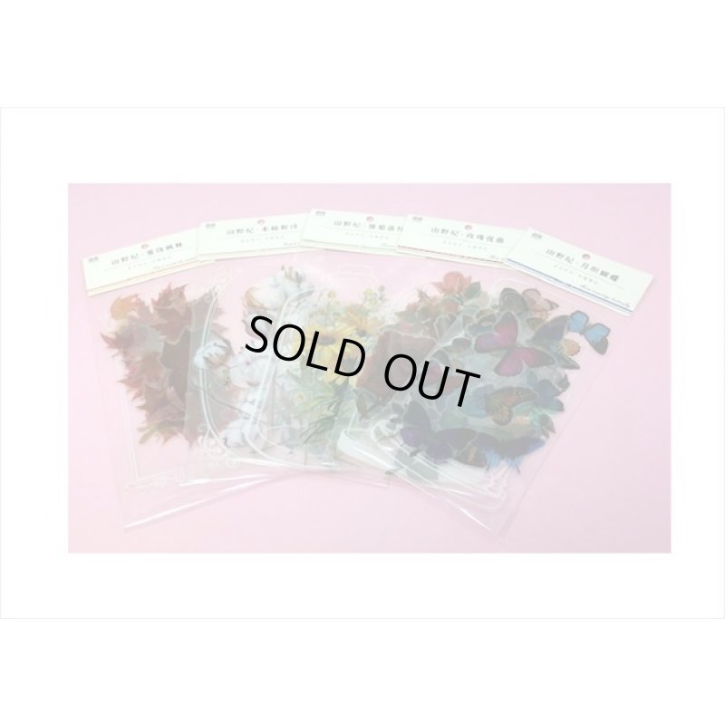 画像8: 大きい♪本物みたいな花🌸＊もみじ＊フレーム＊防水＊透明シール＊11枚＊海外製