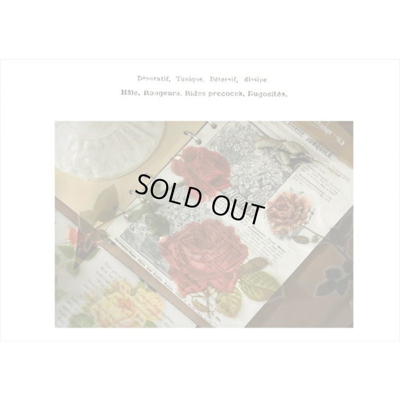 画像5: 大きい♪本物みたいな花🌸＊薔薇＊鳥かご＊防水＊透明シール＊11枚＊海外製