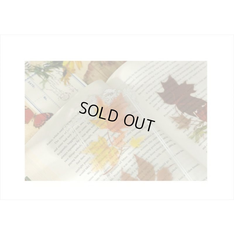 画像5: 大きい♪本物みたいな花🌸＊もみじ＊フレーム＊防水＊透明シール＊11枚＊海外製