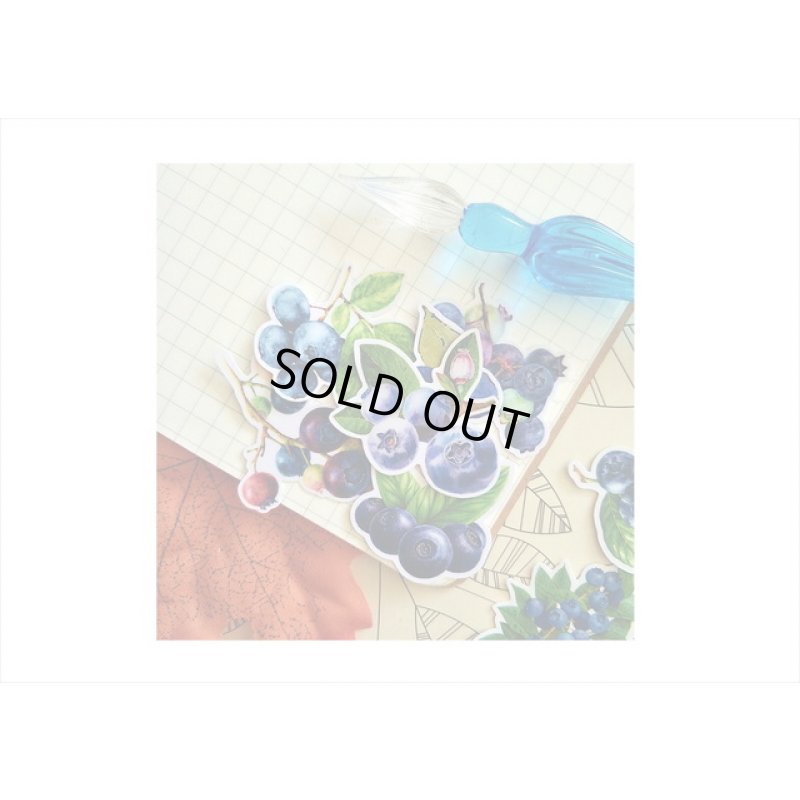画像4: ブルーベリーがいっぱい💓フレークシール💓30枚＊海外製