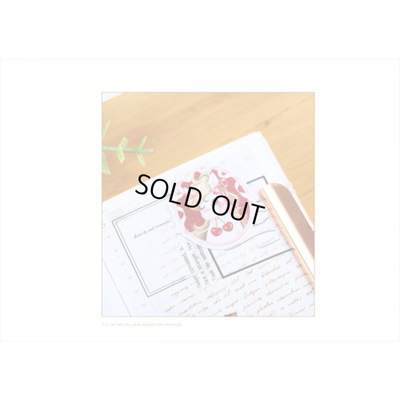 画像7: パステルカラー＊レトロアニマル＆マカロン＊ダイカットシール💓27枚＊海外製