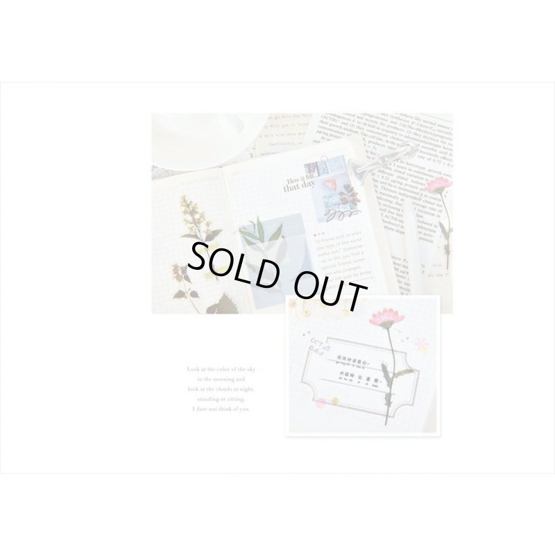 画像8: 本物みたい🌸＊グリーン＊チューリップ🌷＊透明シール＊40枚＊海外製